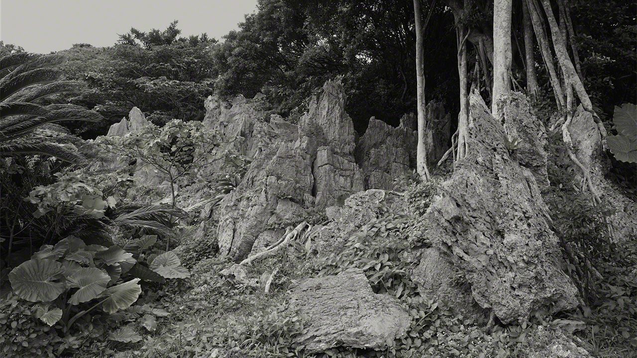 اليابان | أسوموي: حيث تلتقي الأساطير بالجبال المقدسة في شمال أوكيناوا