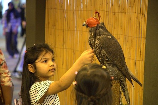 «مهرجان الشيخ زايد» منصة للاحتفاء بالتراث الوطني وثقافات العالم