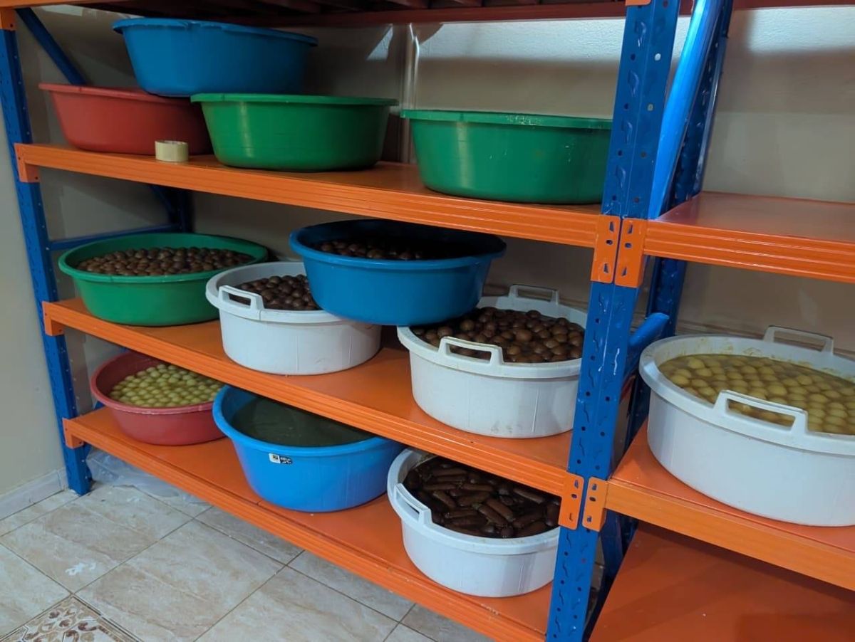 أمانة جدة تضبط 5,250 كجم من الأغذية الفاسدة وتوقف أنشطة عشوائية بعمائر سكنية