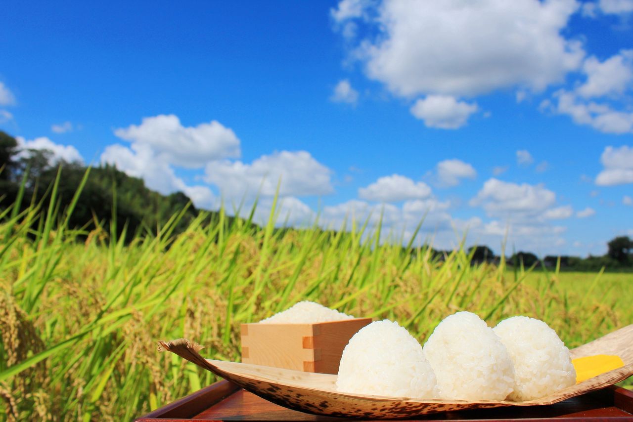 اليابان | عيد الشكر للعمال في اليابان: يوم للاحتفاء بجهود الجميع وصنع مستقبل أفضل