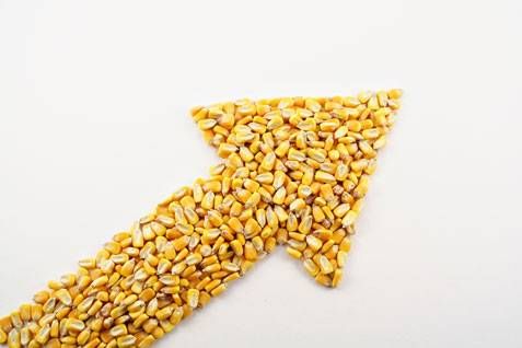 الأسهم الأمريكية تغلق على ارتفاع والداو جونز يقفز بأكثر من 650 نقطة