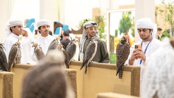 حضور واسع في النسخة الأولى من «العين للصيد والفروسية»