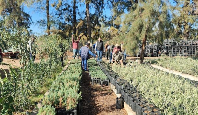 وزارة الزراعة أطلقت حملة توزيع الاشجار على مزارعي عكار