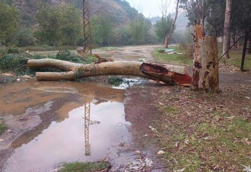 لبنان | الكشف عن جريمة بيئية ليلًا في الليطاني!