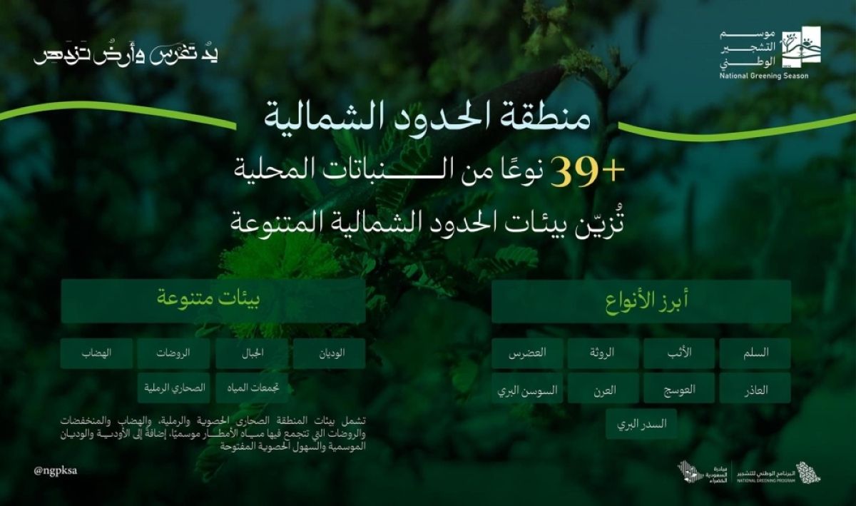 بيئات الحدود الشمالية تزدهر بانتشار39 نوعا من النباتات المحلية الملائمة للتشجير