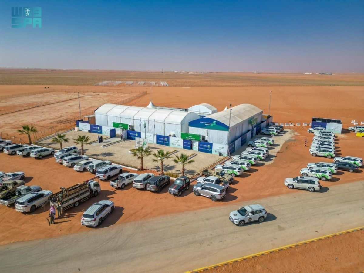 الشركة الوطنية للخدمات الزراعية تباشر أعمالها في مهرجان الإبل