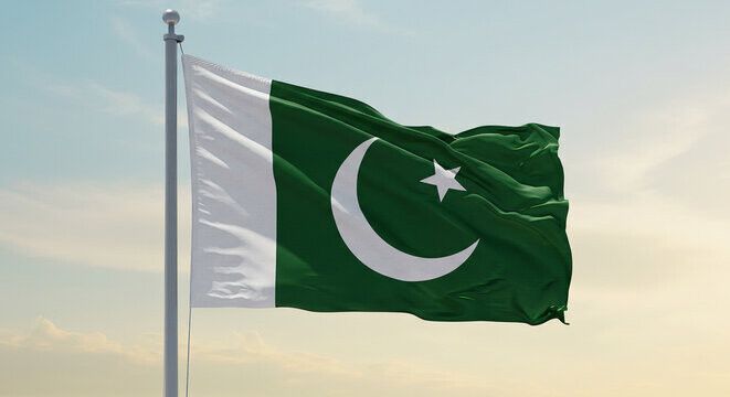 الخارجية الباكستانية ردًا على تورك: ملتزمون تمامًا بحماية الحريات الأساسية وسيادة القانون