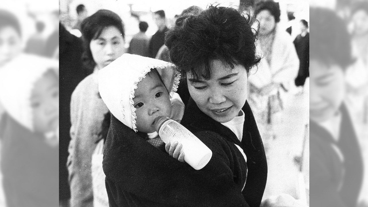 اليابان | سر عام الحصان الناري… العام الذي خاف فيه اليابانيون من إنجاب البنات!