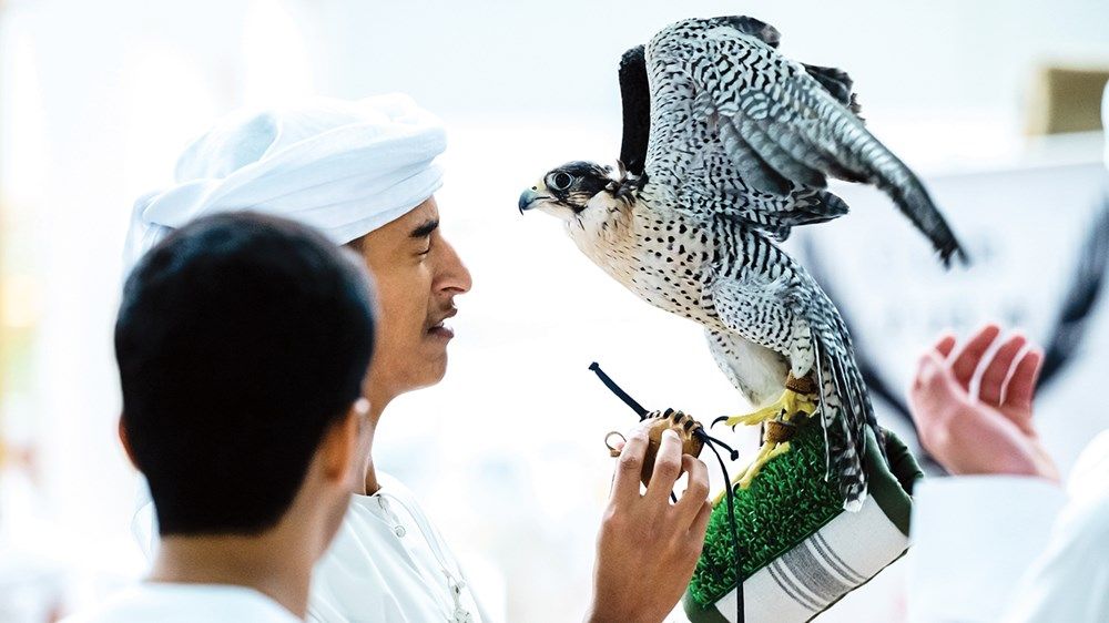 «العين الدولي للصيد والفروسية» يختتم دورته الأولى بأعلى نسبة حضور في تاريخ مركز أدنيك العين