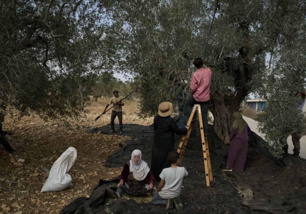 عنف إسرائيلي متصاعد وسط تمدد البؤر الاستيطانية