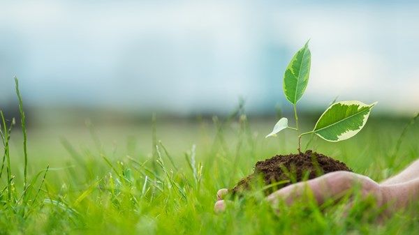 5 عقود من الريادة البيئية