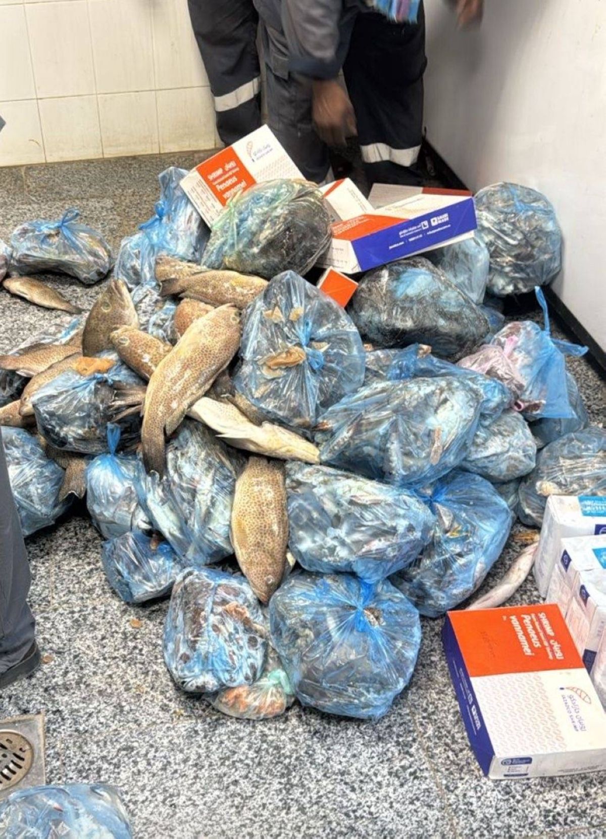 زراعة عسير: ضبط 760 كجم من الأسماك والدواجن غير الصالحة للاستهلاك الآدمي