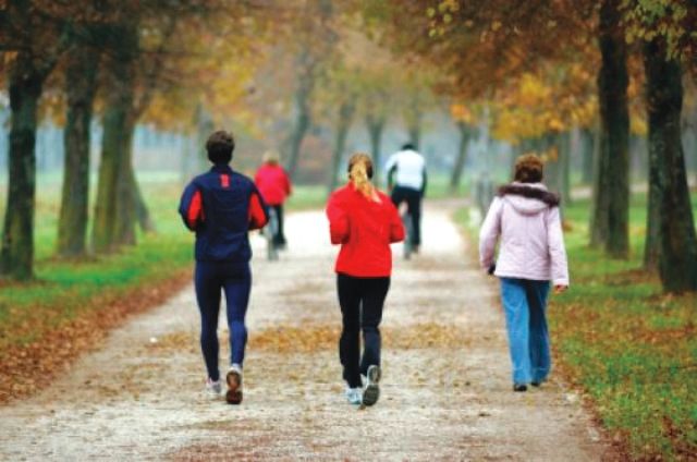 الرجوع إلى الطبيعة