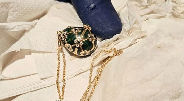 الشرطة النيوزيلندية تستعيد قلادة ابتلعها لص في متجر مجوهرات