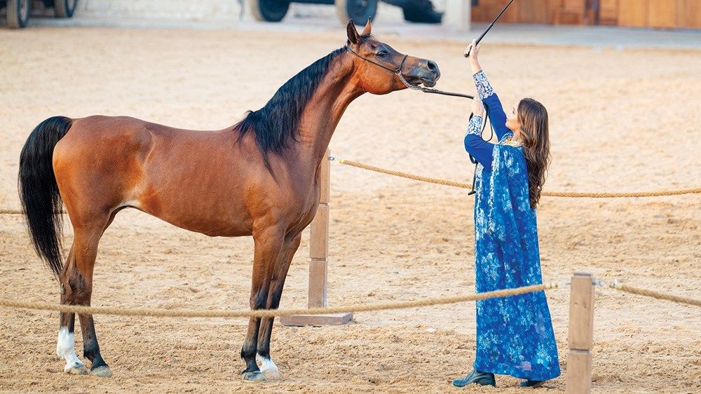 أبناء القبائل: البيت متوحد وقبيلتنا الإمارات