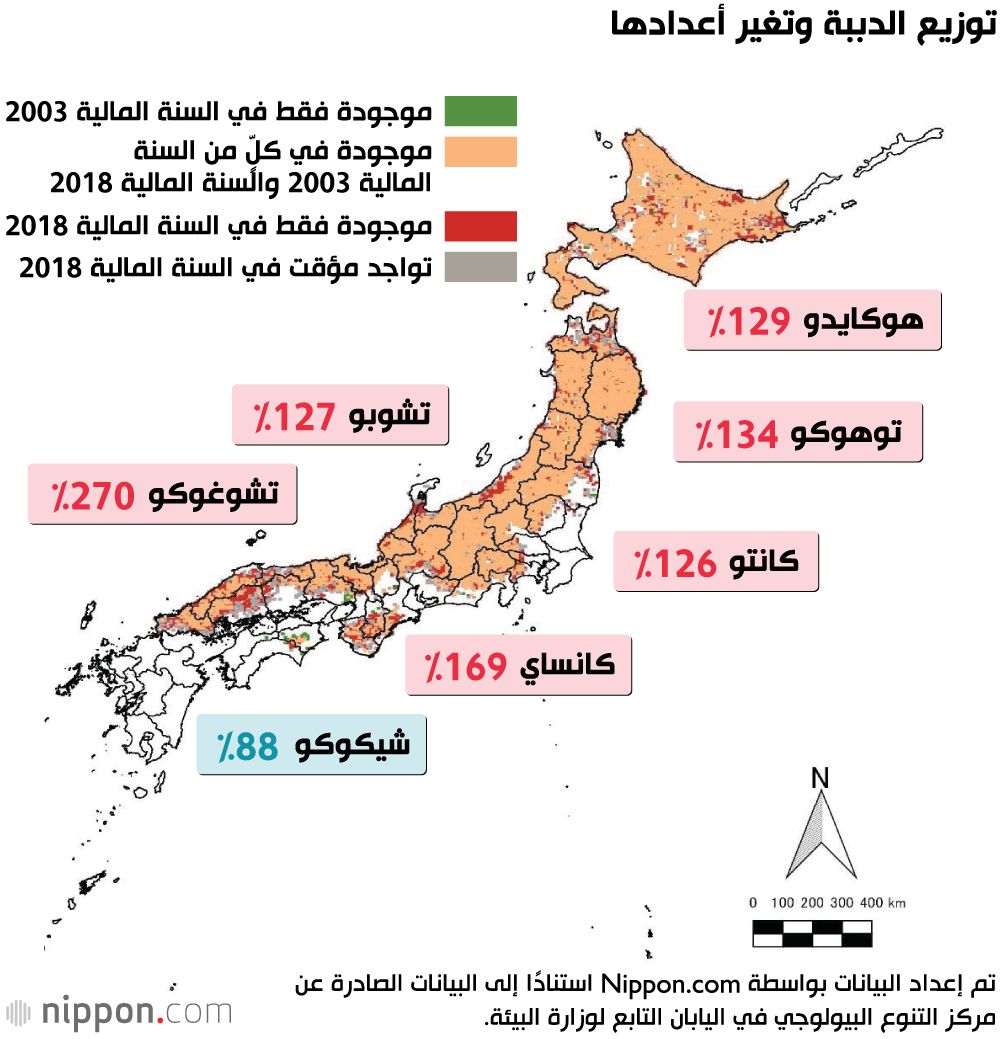 اليابان | هل خرجت أزمة الدببة في اليابان عن السيطرة؟ ولماذا ارتفع عدد الضحايا؟
