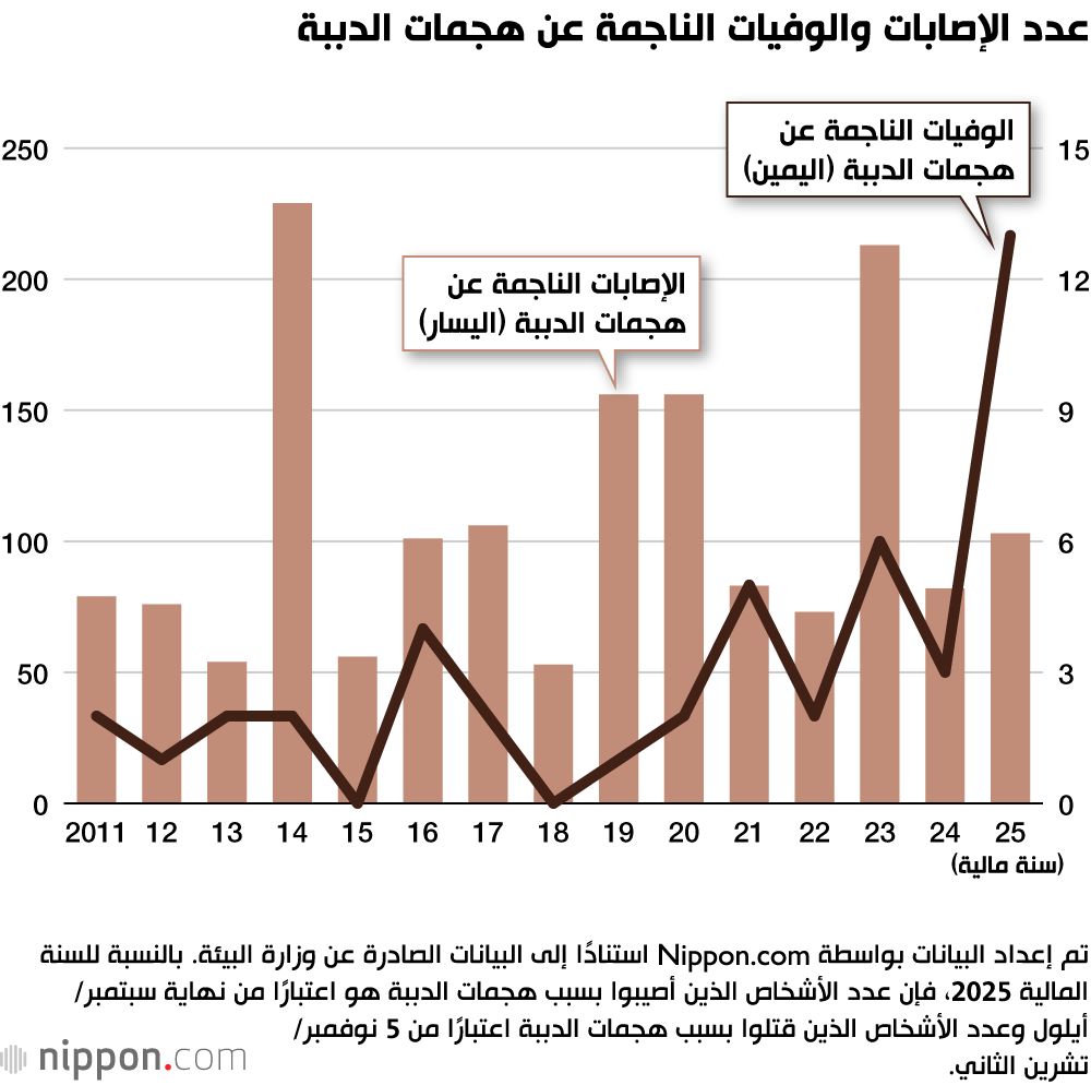 اليابان | هل خرجت أزمة الدببة في اليابان عن السيطرة؟ ولماذا ارتفع عدد الضحايا؟