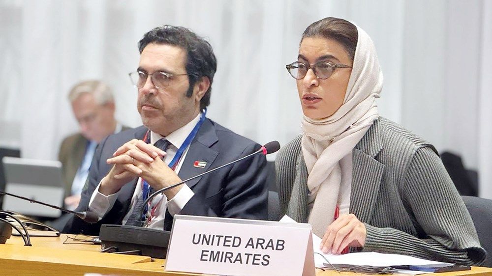 الإمارات تؤكد أهمية وجود أطر عمل متوازنة تدعم النمو