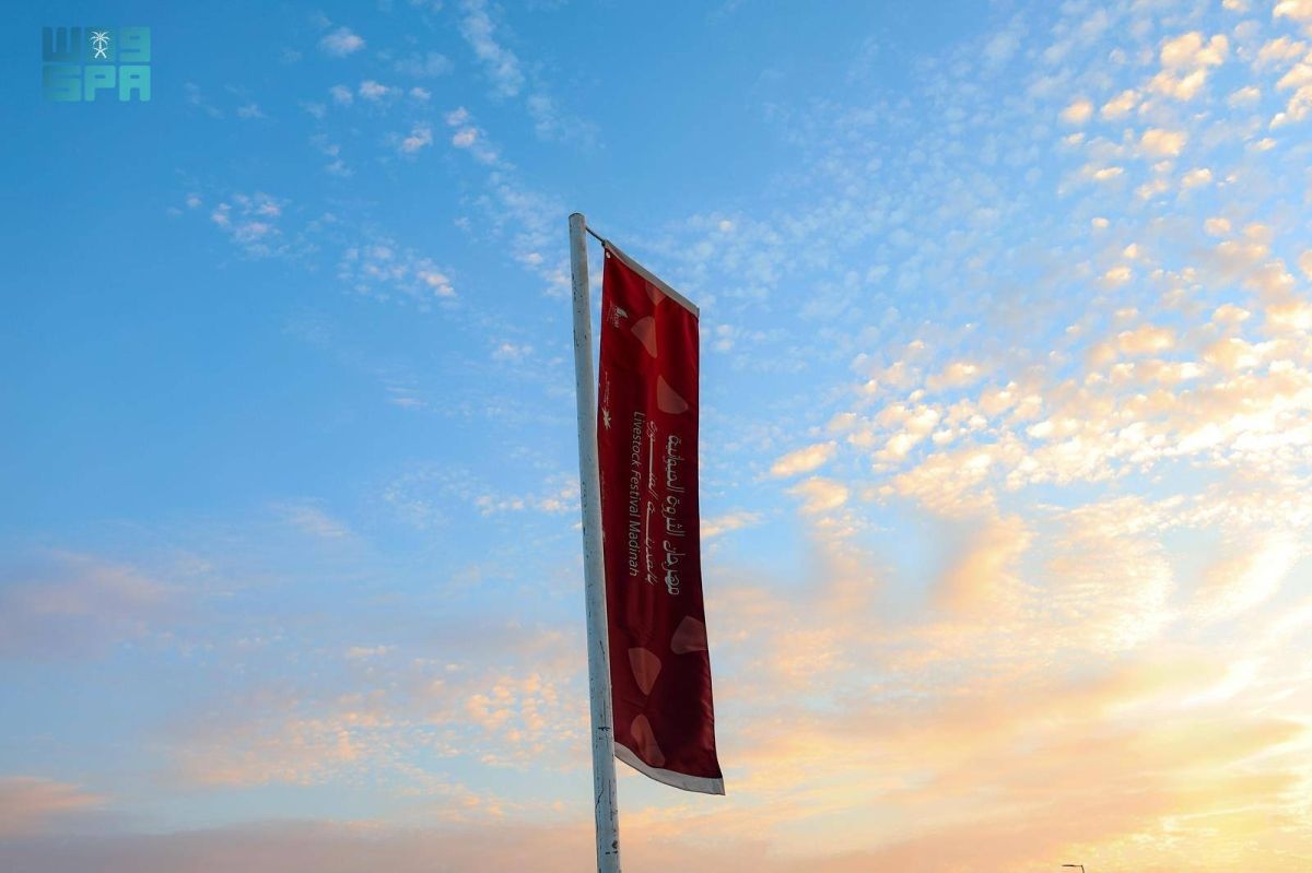 انطلاق فعاليات مهرجان 
الثروة الحيوانية الأول بالمدينة المنورة