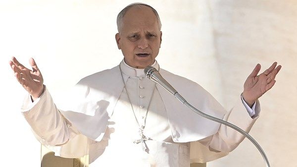 البابا: الفاتيكان لن يقف مكتوف الأيدي أمام انتهاكات حقوق الإنسان