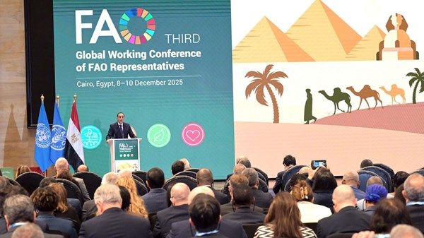انطلاق المؤتمر العالمي الثالث لـ«الفاو» بالقاهرة بمشاركة عربية ودولية