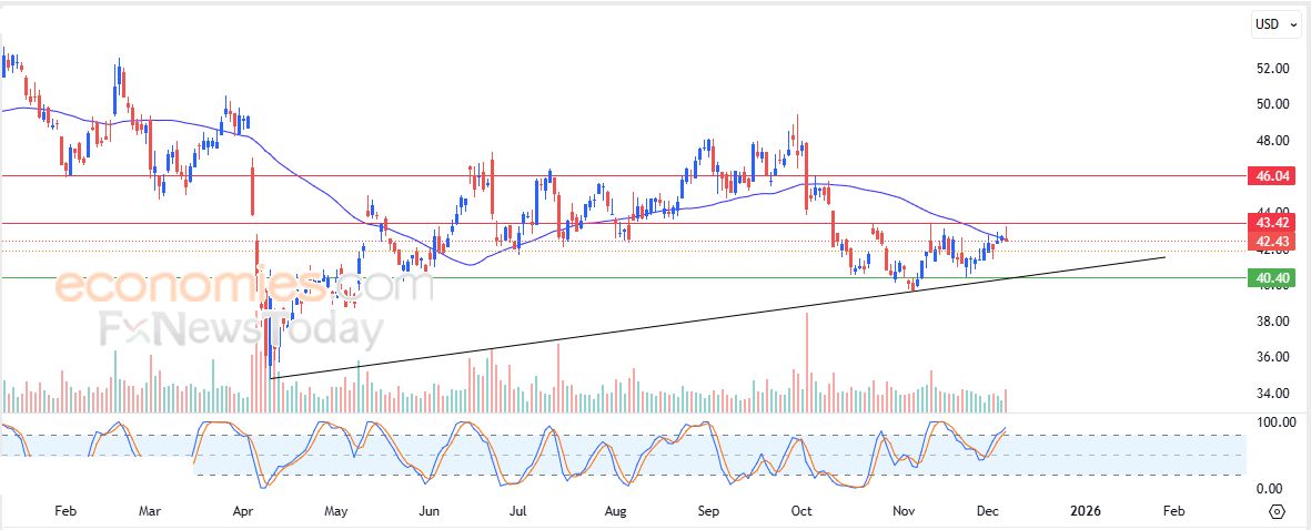 سعر سهم جينرال ميللز (GIS) يستعد لكسر دعم محوري – توقعات اليوم – 08-12-2025