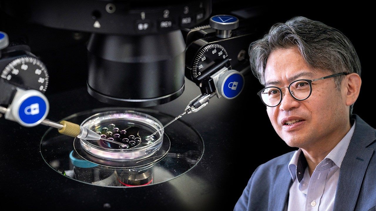 اليابان | بين الحلم والخطر: هل تقودنا الخلايا الجذعية المستحثة إلى شبابٍ جديد أم نحو السرطان؟