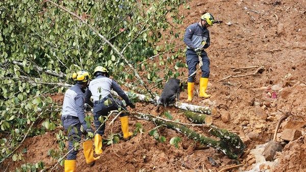 فريق الإمارات يواصل عمليات البحث والإنقاذ في سريلانكا
