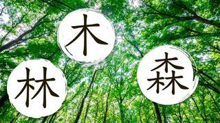 اليابان | سرّ القطرة الثلاثية: كيف تشكّل (氵) عالمًا كاملًا داخل اللغة اليابانية؟