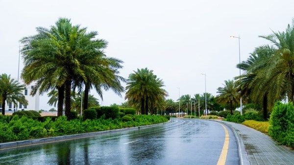 بلدية عجمان تُعلن جاهزيتها الكاملة لموسم الأمطار