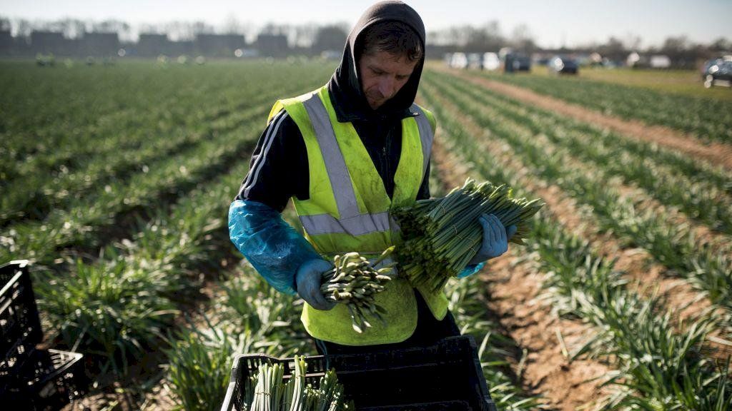 الغارديان: على أوروبا استقبال المهاجرين وإلا ستواجه زوالها