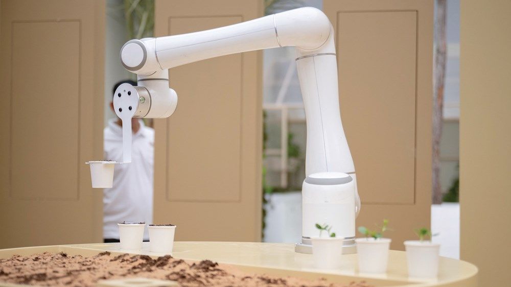 الإمارات من الصحراء إلى الريادة الخضراء