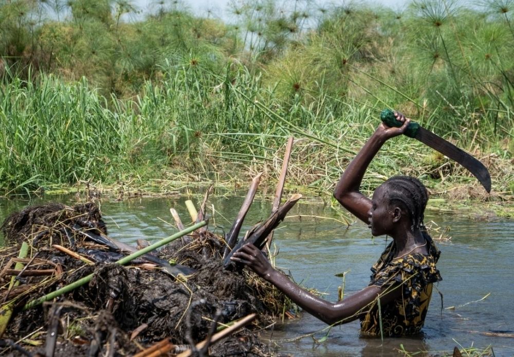 جنوب السودان وكردفان تحت ضغوط المناخ والصراع
