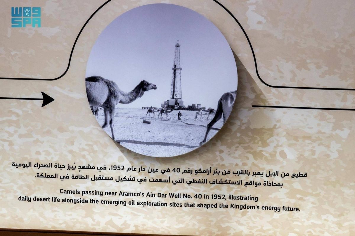 صور تاريخية تكشف دور الإبل
 في بناء رحلة التطور في المملكة