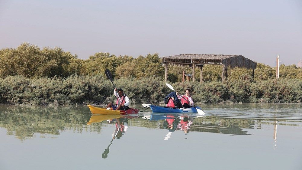 الإمارات من الصحراء إلى الريادة الخضراء