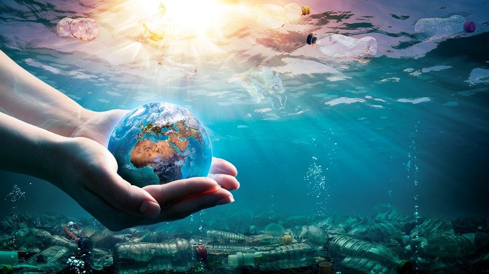 الإمارات من الصحراء إلى الريادة الخضراء