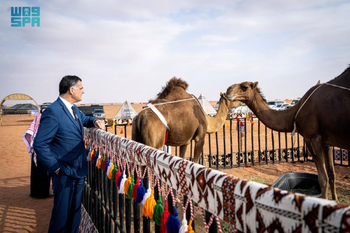 +100 سائح من دول مختلفة يوثقون الحضور الدولي لمنافسات مهرجان الملك عبدالعزيز للإبل