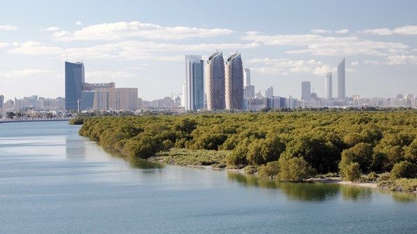 الإمارات من الصحراء إلى الريادة الخضراء