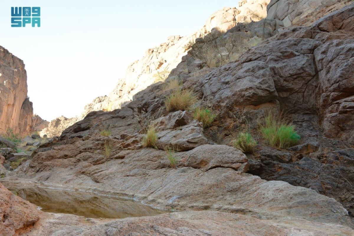 وادي مغيدد.. 
أيقونة لجمال الطبيعة