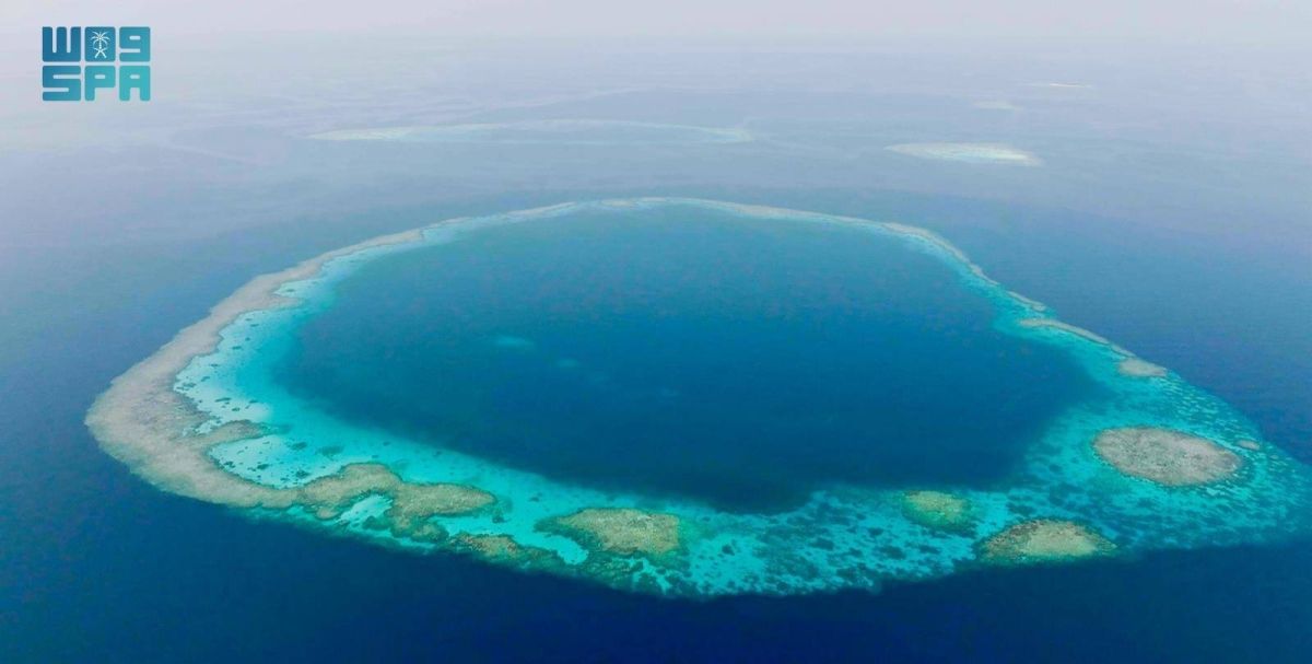 مركز الحياة الفطرية يطور منظومة الحوكمة في محميتي الثقوب الزرقاء ورأس حاطبة