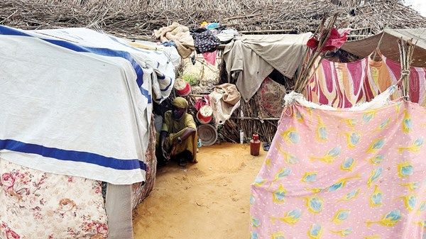 المتحدثة باسم برنامج الأغذية العالمي لـ«الاتحاد»: ملايين السودانيين بحاجة ملحة إلى دعم عاجل