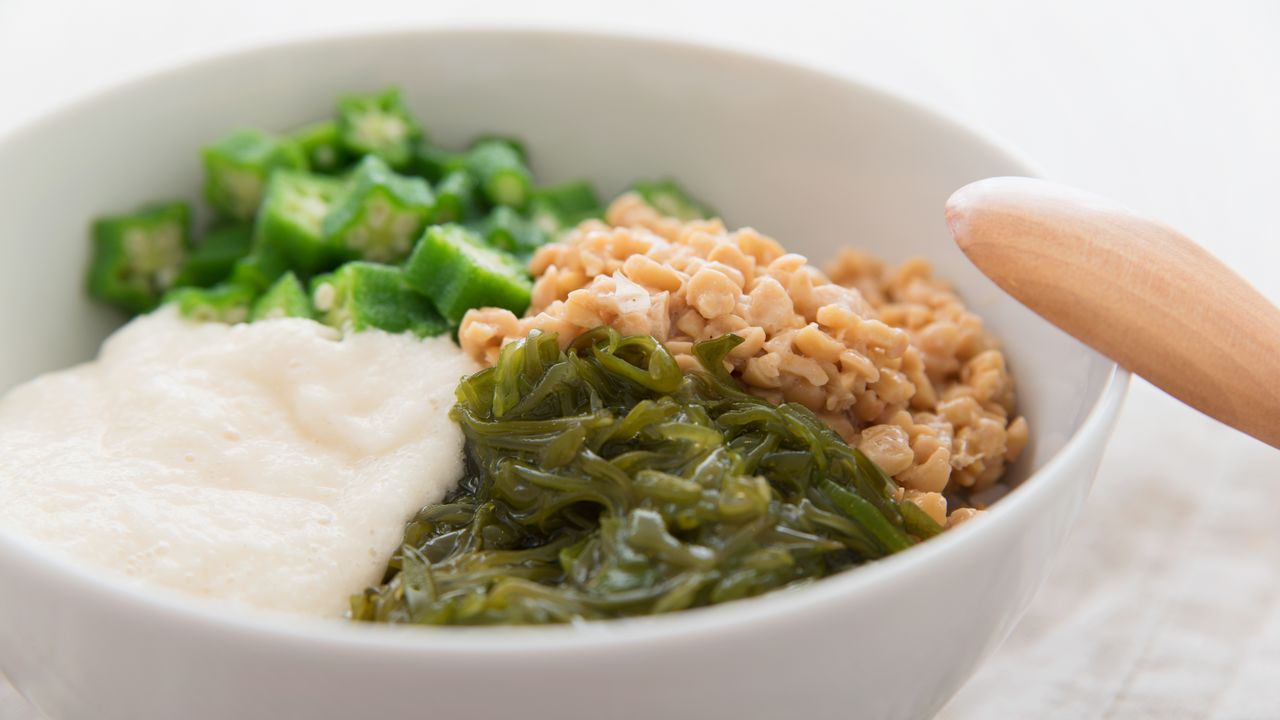 اليابان | جرّب الناتّو بطريقتك المفضلة… خيارات أكثر مما تتخيل!