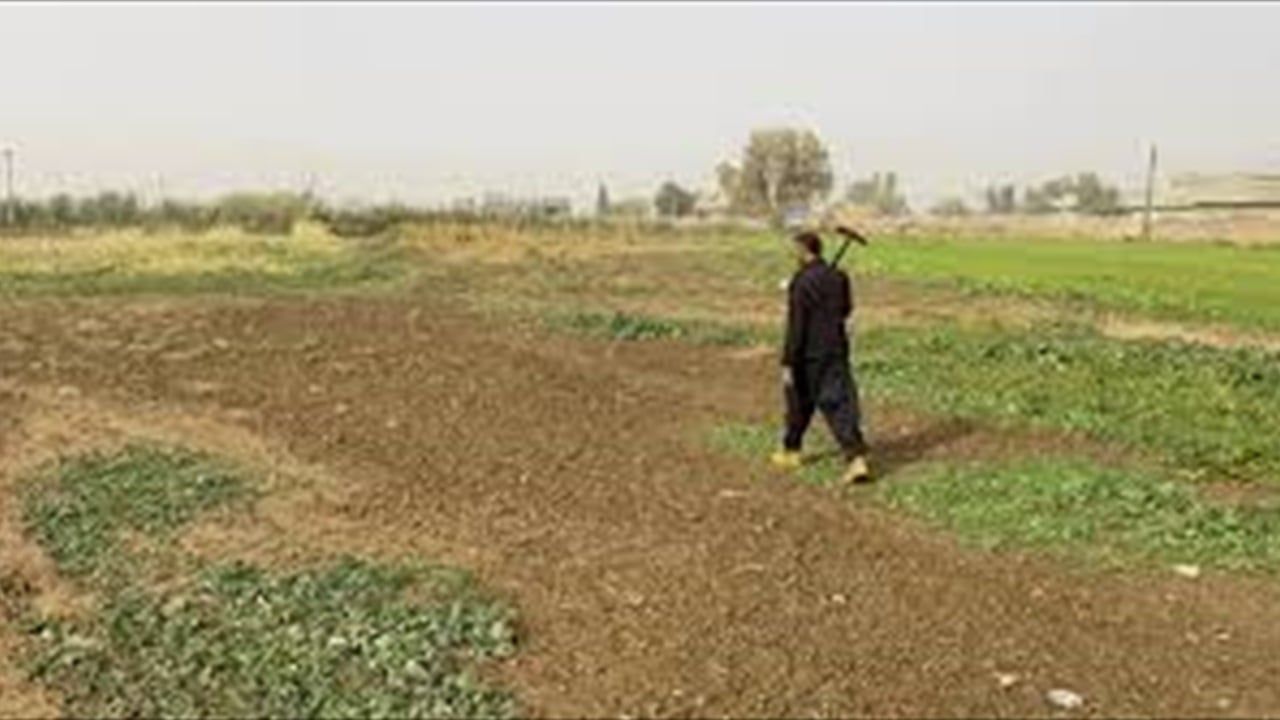 اعلام إيراني: العراق سيوفر أراضٍ لإيران لتقوم بالزراعة خارج حدودها
