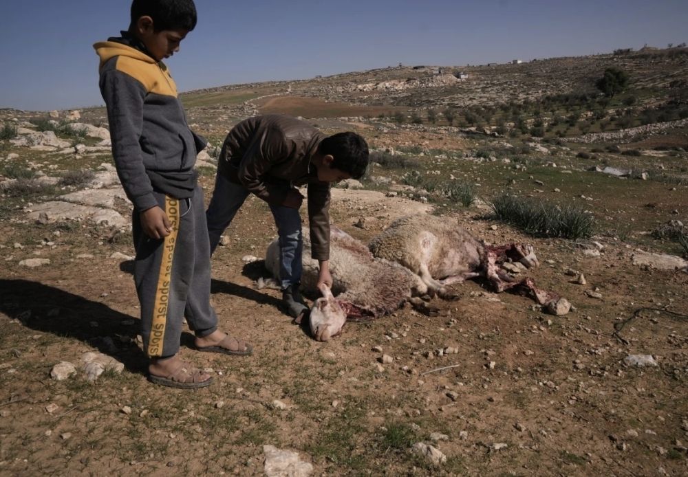 نتنياهو أمام فضيحة التهرب من المسؤولية وتفاقم عنف المستوطنين