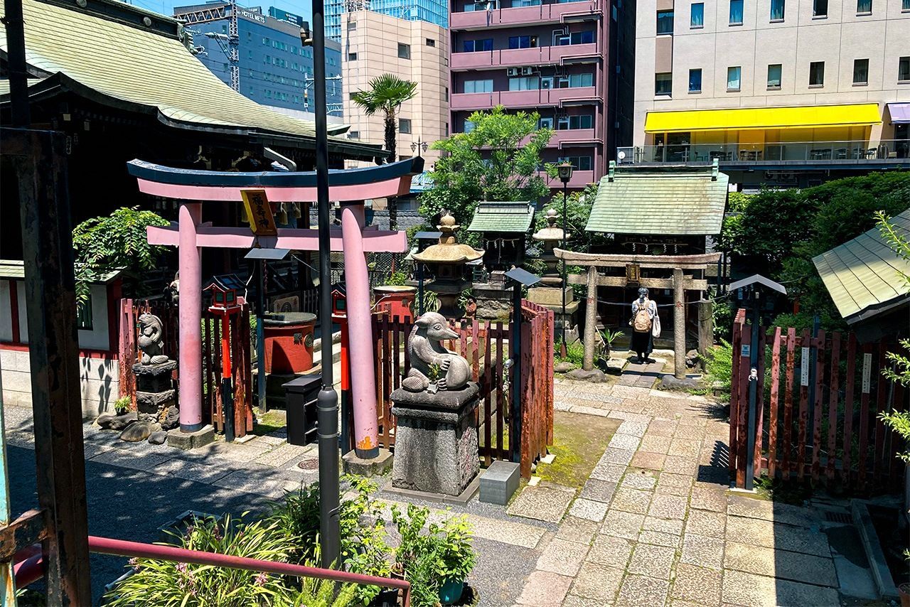 اليابان | عبور ساحر بين الماضي والحاضر: من شوارع طوكيو التقليدية إلى عالم أكيهابارا الرقمي