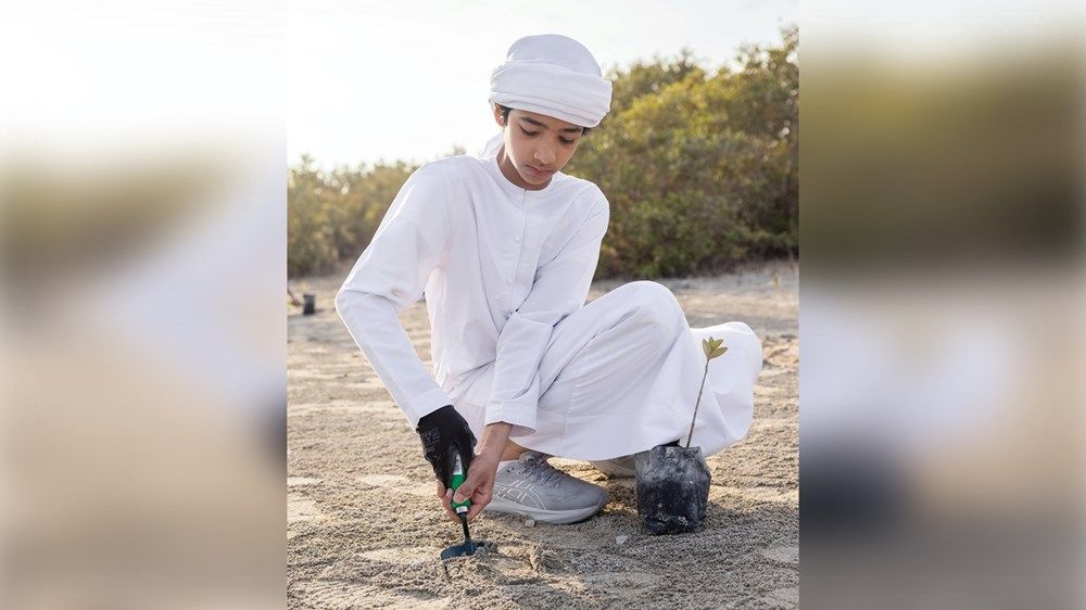 600 شجرة قرم جديدة بمحمية جبل علي البحرية