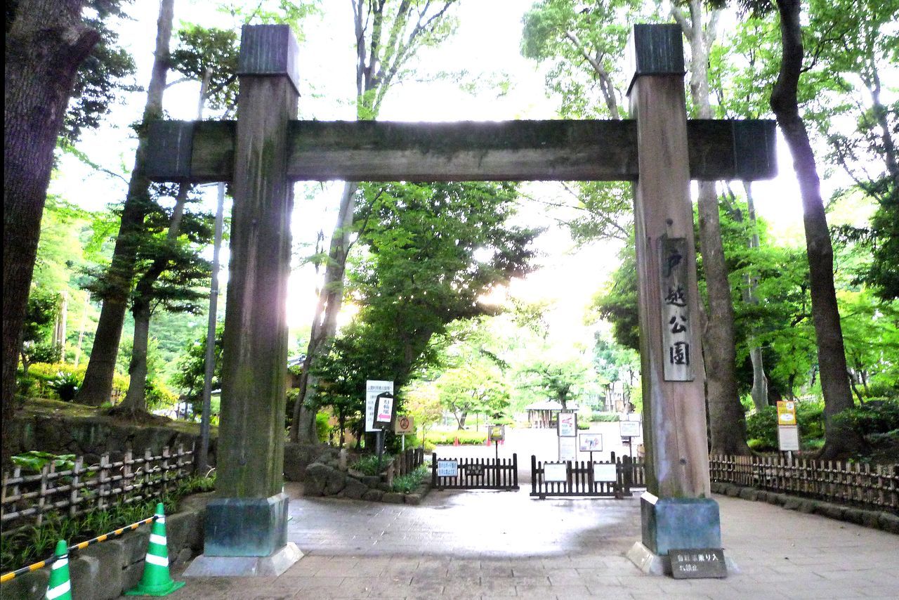 بوابة كابوكي لحديقة توغوشي التي أُعيد ترميمها بعد بدء فترة هيسي (1989-2019). تتميّز بشكلها المؤلف من عمودين تعلوهما عارضة أفقية ممتدة بينهما (© بيكستا)