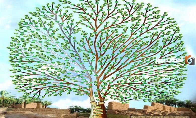 كم عدد فخوذ قبيلة جهينه؟