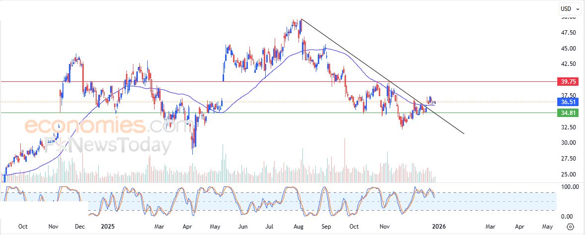 سعر سهم ريفولف (RVLV) يمدد من مكاسبه – توقعات اليوم – 30-12-2025