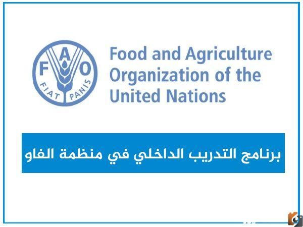 kingfahad.sa منصة سند شروط التقديم للحصول علي دعم مالي 1447 برقم الهوية فقط وطرق التقديم